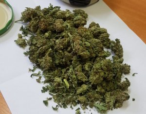 Narkotyki zabezpieczone przez policjantów