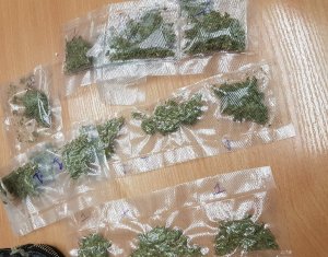 Na zdjęciu widoczne woreczki foliowe z zawartością suszu roślinnego.