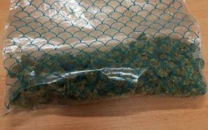 Na zdjęciu widoczny woreczek foliowy z zawartością suszu roślinnego.